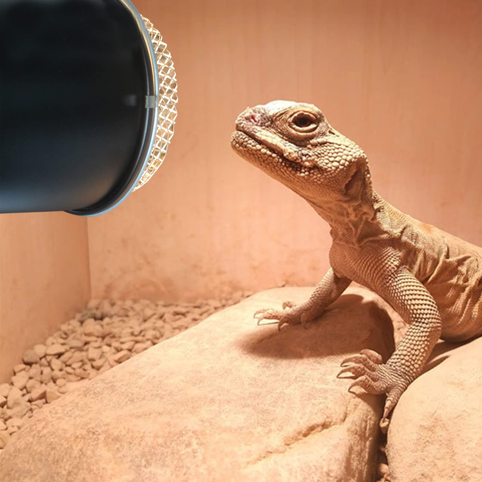 Nuobesty Reptile Heat Lamp Cover Reptile - Scald Lampshade Reptile Box Insulation Lamp Shade